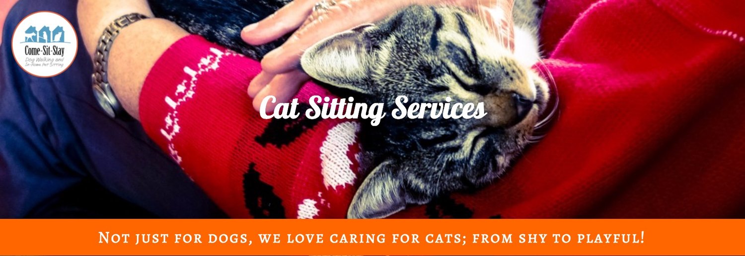 Cat Sitting Services: not just for dogs, we love caring for cats, from shy to playful.