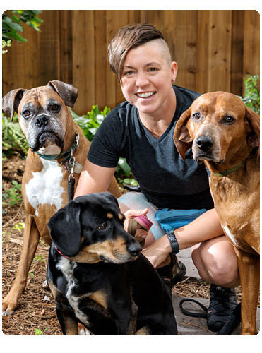 Sparrow with three dogs in a backyard